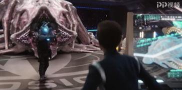 哈利最近爆料视频播放时间,视频播放时长背后的惊人真相