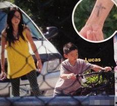 张柏芝豪宅爆料视频播放,奢华生活细节大揭秘